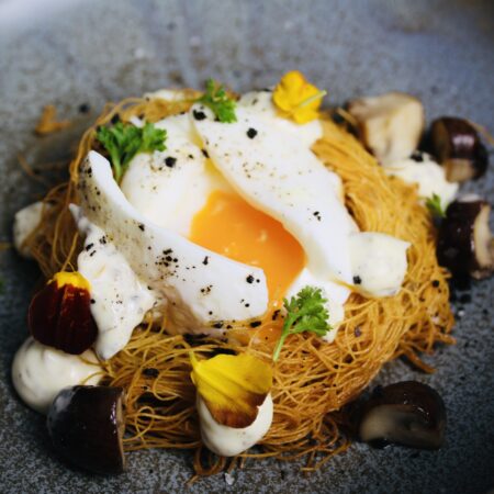 Bird nest with poached egg